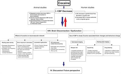 Neurovascular effects of cocaine: relevance to addiction